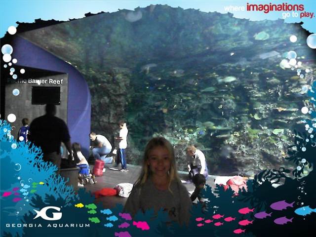 GeorgiaAquarium.jpg