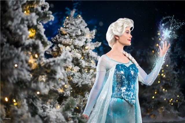 wd015wdw2015169255111427.jpeg