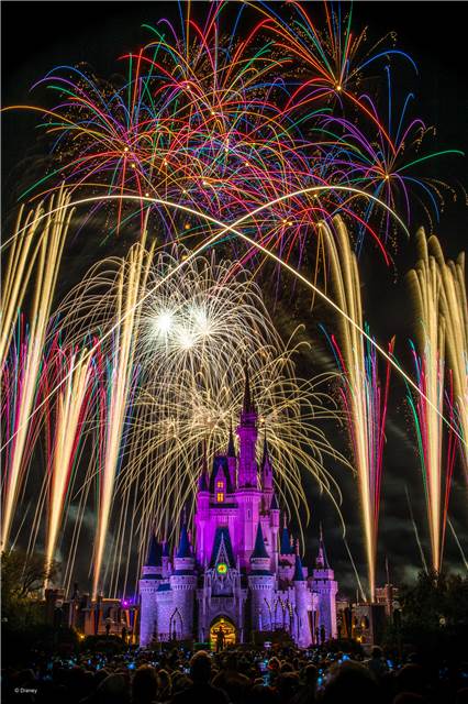 wd021wdw2015091212907416.jpeg