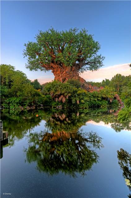 Walt Disney World Photo Gallery Disc