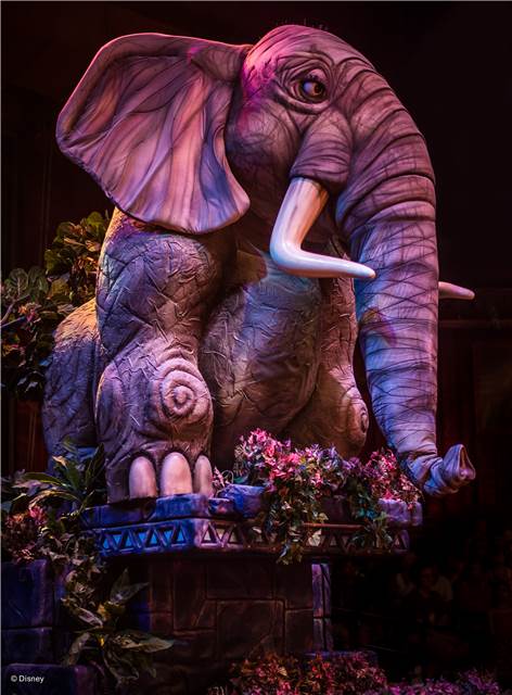 wd034wdw2015089211614887.jpeg