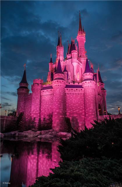 wd037wdw2015091212907413.jpeg