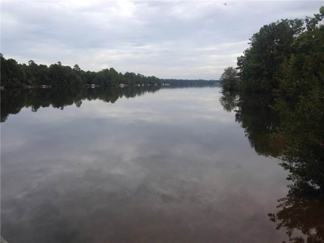 Glassy.JPG