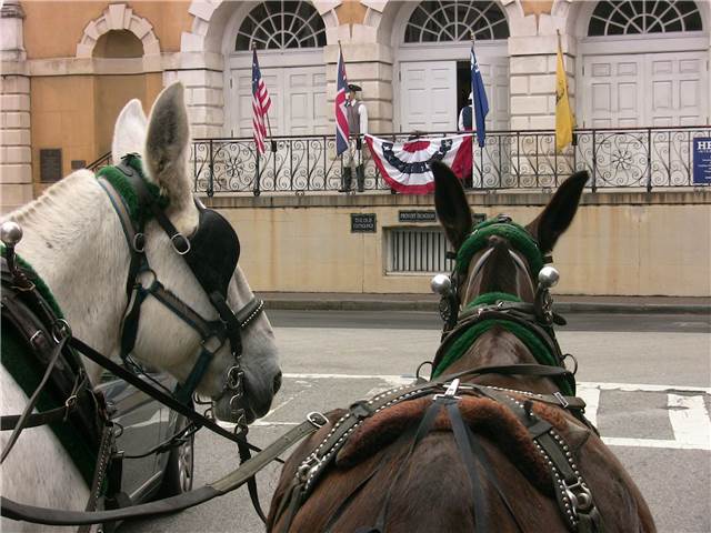 025.JPG