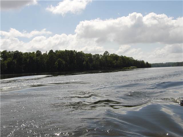 CIMG8462.JPG
