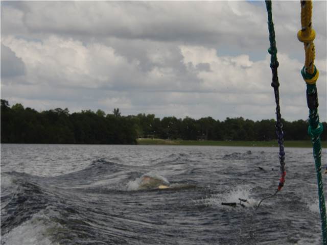 CIMG8495.JPG