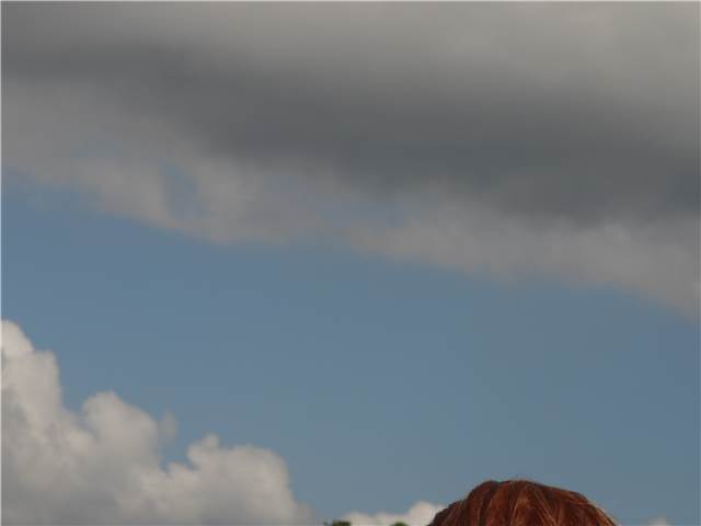 CIMG8545.JPG