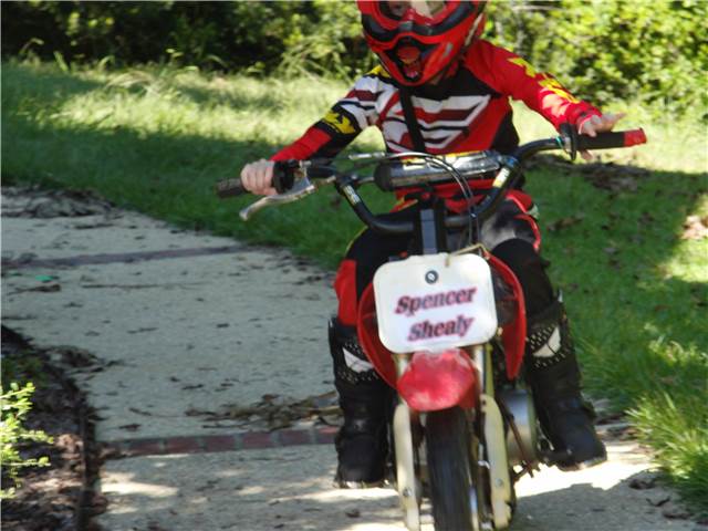 CIMG8662.JPG