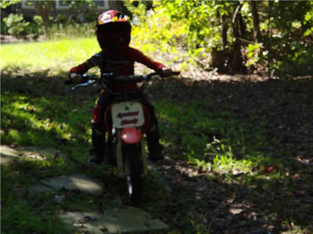 CIMG8666.JPG