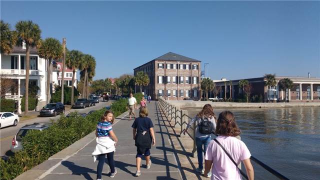 IMG_20161119_104225382.jpg