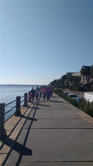 IMG_20161119_104229567.jpg