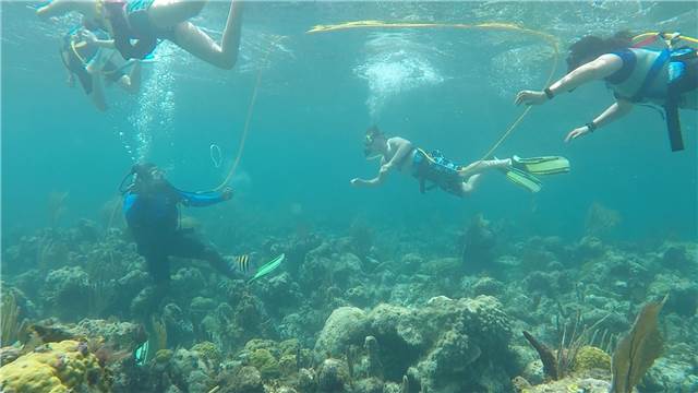 SnubaUnderwater2.jpg