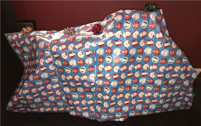 WrappedBicycle.JPG