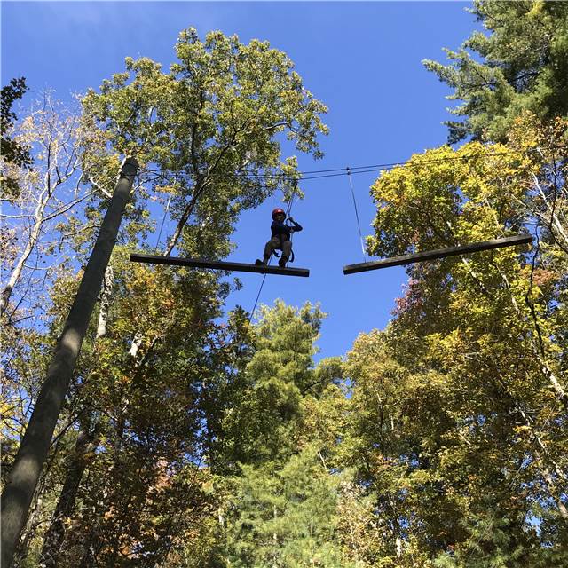 HighRopes.JPG