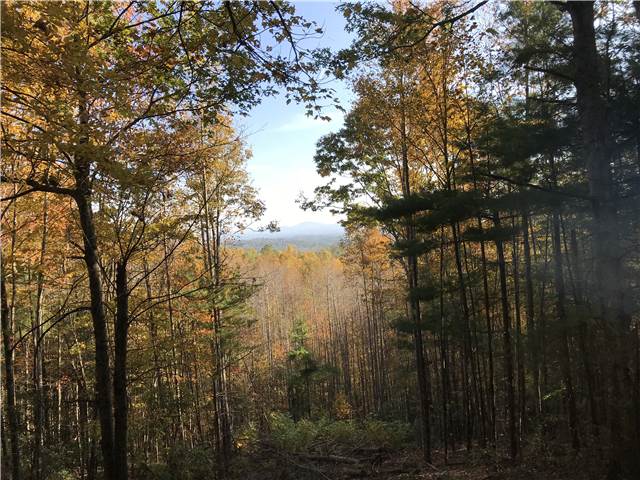 ScenicView.JPG