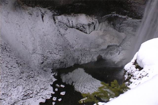 uvs051129-078.JPG