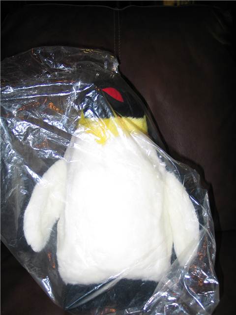 MomsEbayPenguin.JPG