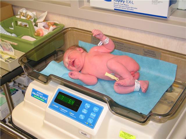 FirstWeighing.JPG