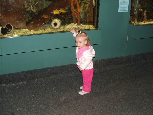 DSCF0221.JPG