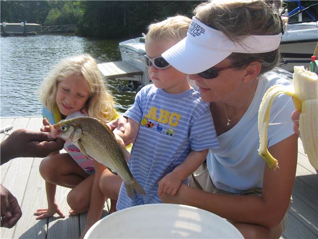 FishCheck.JPG