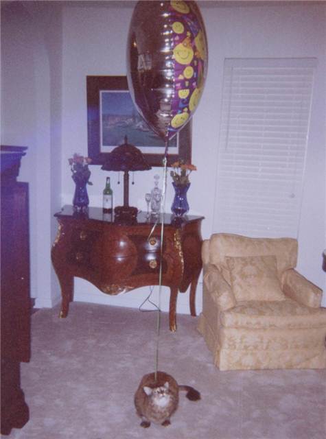 TiggerWBalloon.jpg