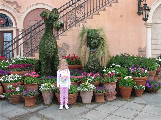 IMG_5620.JPG