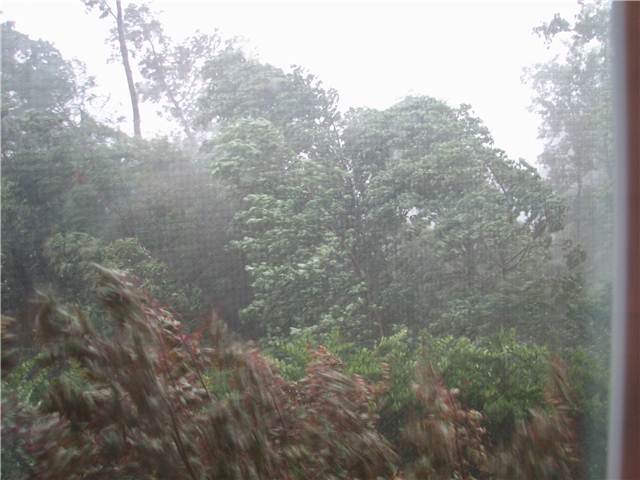 Storm.JPG