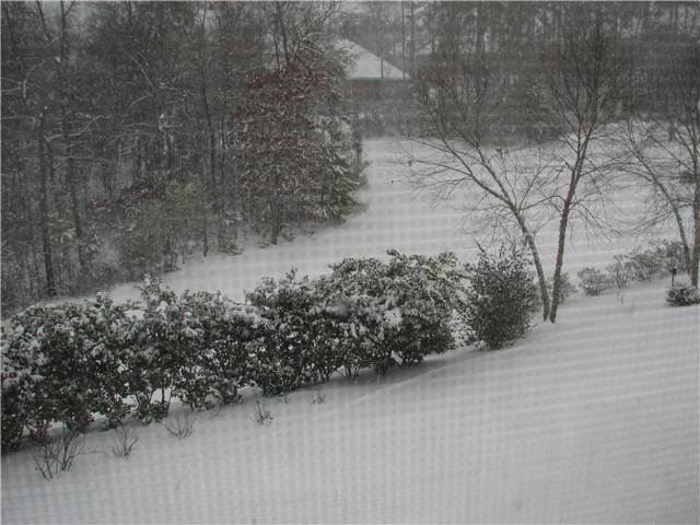 WinterStorm.JPG