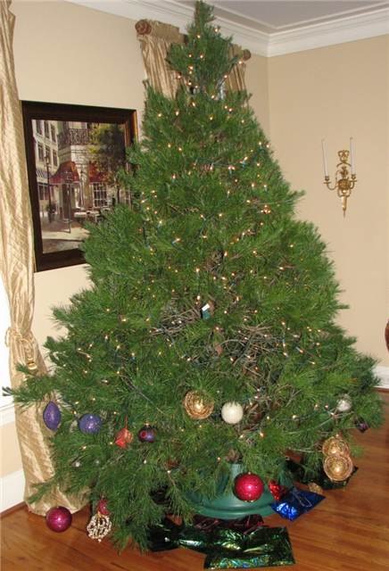 IMG_7030.JPG