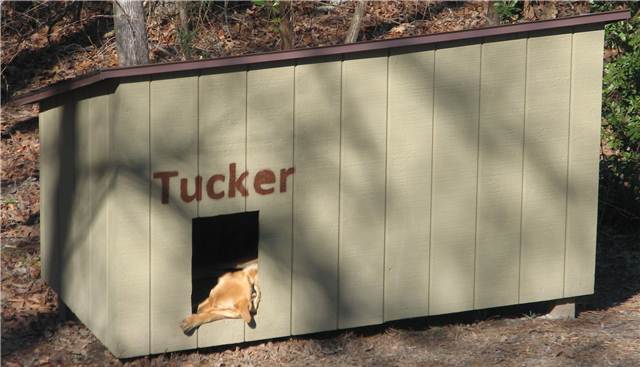 DogHouse.JPG