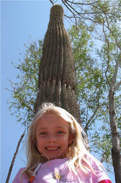 TallCactus.JPG