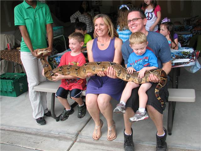 BoaConstrictorLarge.JPG
