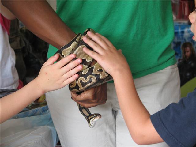 SmallBoa.JPG