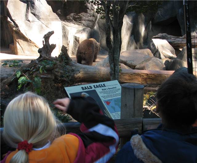 Bear.JPG